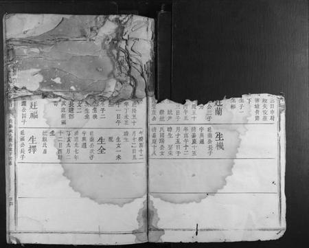 江西凌氏族谱-雩邑凌氏族谱.pdf电子版插图3