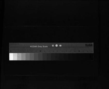 浙江阮氏族谱-阮氏宗谱 [不分卷].pdf电子版