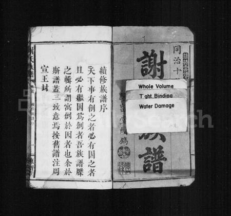 湖南谢氏族谱-谢氏族谱 [残卷].pdf电子版插图3