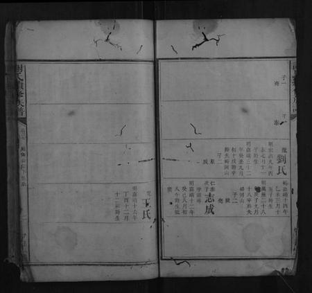 湖南谢氏族谱-谢氏续修族谱.pdf电子版插图2