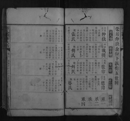 湖南谢氏族谱-谢氏续修族谱.pdf电子版插图3