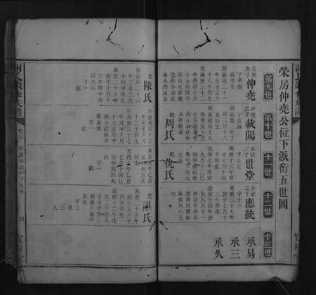 湖南谢氏族谱-谢氏续修族谱.pdf电子版插图4