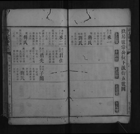 湖南谢氏族谱-谢氏续修族谱.pdf电子版插图5