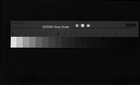 浙江陈氏族谱-陈氏宗谱 [4卷].pdf电子版
