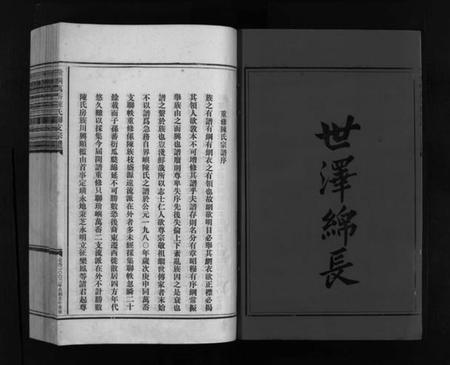 浙江陈氏族谱-陈氏宗谱 [4卷].pdf电子版插图3