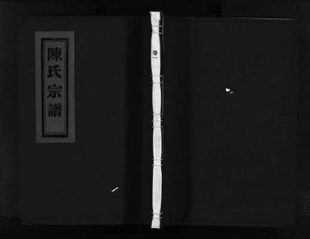 浙江陈氏族谱-陈氏宗谱 [5卷].pdf电子版插图1