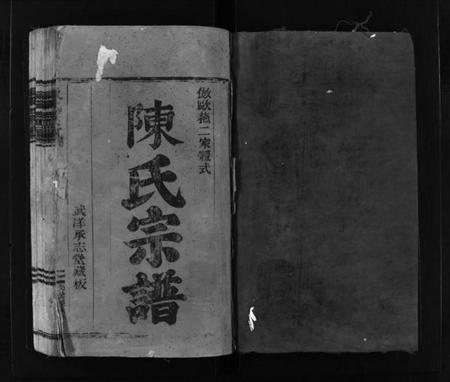 浙江陈氏族谱-陈氏宗谱 [不分卷].pdf电子版插图2