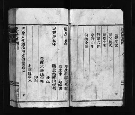 浙江陈氏族谱-陈氏宗谱 [不分卷].pdf电子版插图4