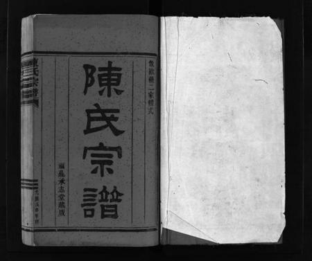 浙江陈氏族谱-陈氏宗谱 [不分卷].pdf电子版插图2