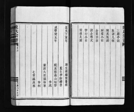 浙江陈氏族谱-陈氏宗谱 [不分卷].pdf电子版插图4