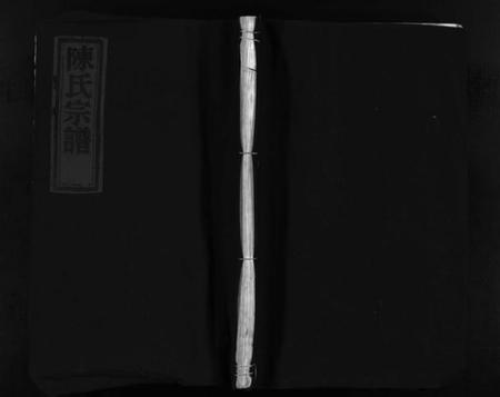 浙江陈氏族谱-陈氏宗谱 [不分卷].pdf电子版插图1