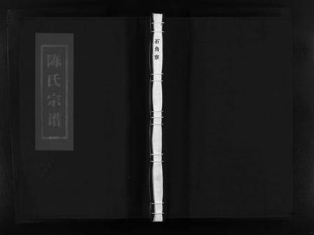 浙江陈氏族谱-陈氏宗谱 [不分卷].pdf电子版插图1