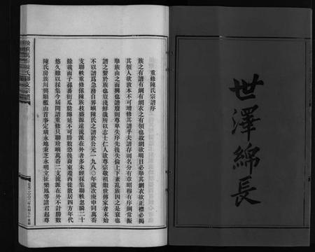 浙江陈氏族谱-陈氏宗谱 [不分卷].pdf电子版插图3