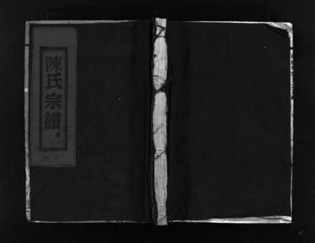 浙江陈氏族谱-陈氏宗谱 [残卷].pdf电子版插图1
