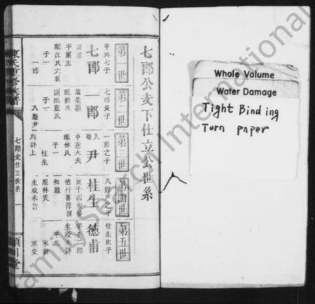 浙江陈氏族谱-陈氏族谱 [残卷].pdf电子版插图2