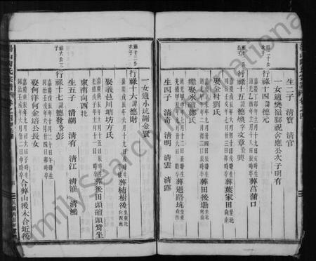 浙江陶氏族谱-陶氏宗谱 [残卷].pdf电子版插图5