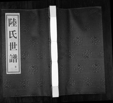 浙江陆氏族谱-陆氏世谱[4卷].pdf电子版插图