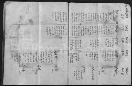 浙江陆氏族谱-陆氏支谱 [不分卷].pdf电子版插图5