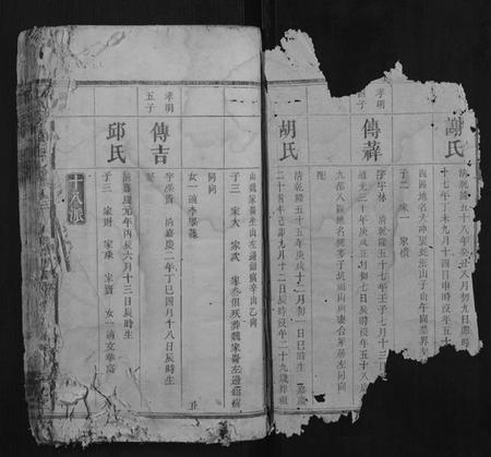 湖南徐氏族谱-宁邑徐氏三修谱.pdf电子版插图1