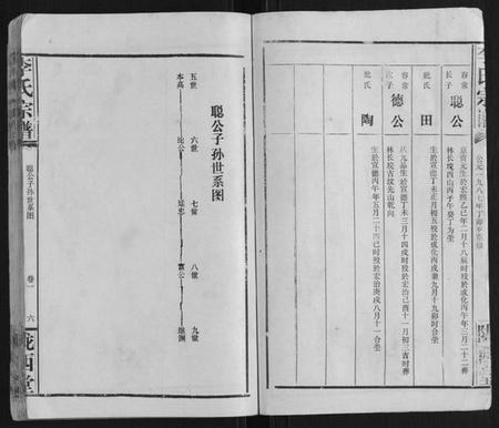 湖北李氏族谱-李氏宗谱.pdf电子版插图3
