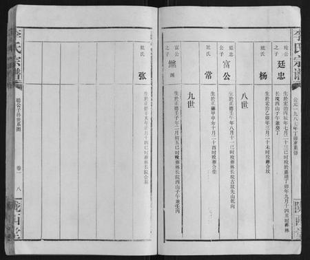 湖北李氏族谱-李氏宗谱.pdf电子版插图5