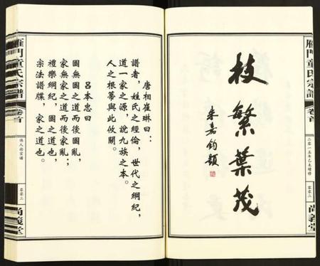 浙江童氏族谱-雁门童氏宗谱 [10卷,首1卷].pdf电子版插图3