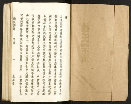 湖南徐氏族谱-徐氏宗谱.pdf电子版插图1