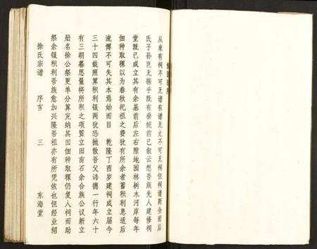 湖南徐氏族谱-徐氏宗谱.pdf电子版插图3