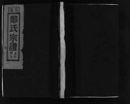 浙江郑氏族谱-雁阳郑氏宗谱 [9卷].pdf电子版插图1