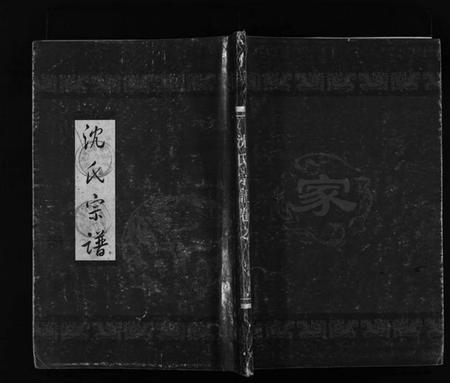浙江沈氏族谱-霓岙沈氏宗谱 [卷数杂异].pdf电子版插图1