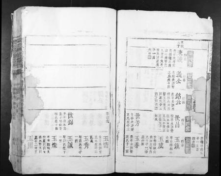 江西刘氏族谱-刘氏大成宗谱.pdf电子版插图2 江西刘氏族谱-刘氏大成宗谱.pdf电子版插图2
