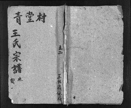浙江王氏族谱-青堂王氏宗谱 [4卷].pdf电子版插图1