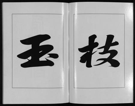 浙江刘氏族谱-青溪刘氏宗谱 [20卷].pdf电子版插图3