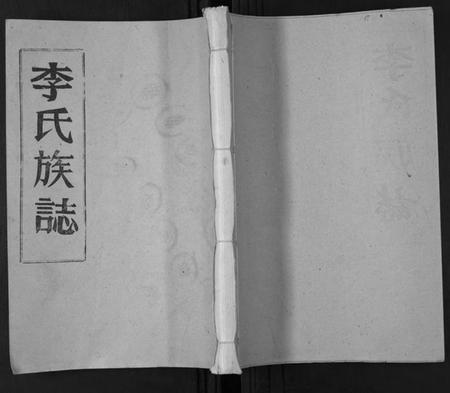湖北李氏族谱-李氏族志.pdf电子版插图 湖北李氏族谱-李氏族志.pdf电子版插图