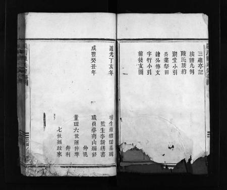 浙江陈氏族谱-頴川陈氏宗谱 [不分卷].pdf电子版插图3