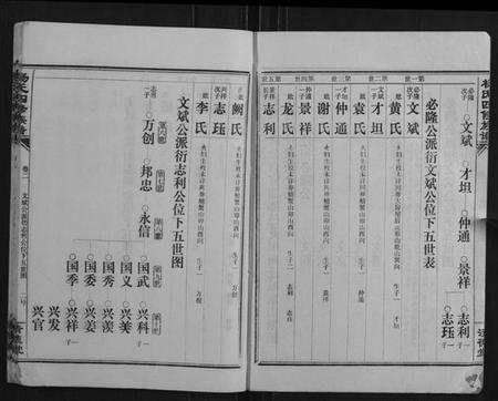 湖南杨氏族谱-杨氏四修族谱.pdf电子版插图2
