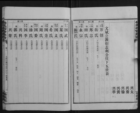 湖南杨氏族谱-杨氏四修族谱.pdf电子版插图3