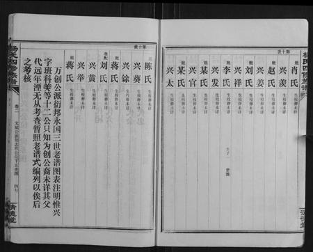 湖南杨氏族谱-杨氏四修族谱.pdf电子版插图4
