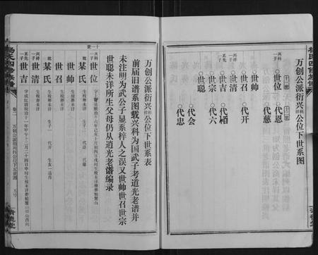 湖南杨氏族谱-杨氏四修族谱.pdf电子版插图5