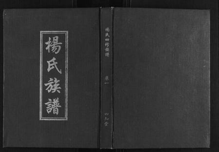 湖南杨氏族谱-杨氏族谱.pdf电子版插图