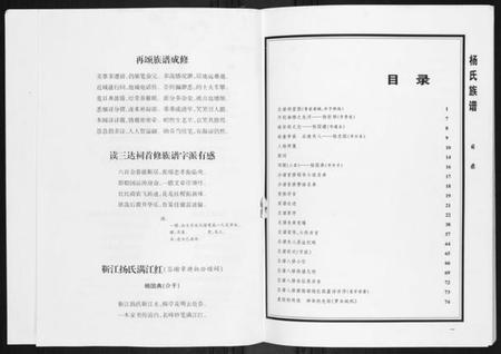 湖南杨氏族谱-杨氏族谱.pdf电子版插图3