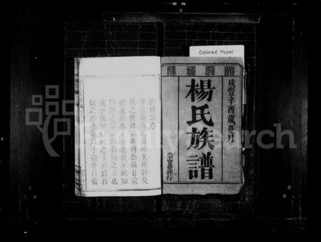 湖南杨氏族谱-杨氏族谱 [3卷,首1卷].pdf电子版插图2