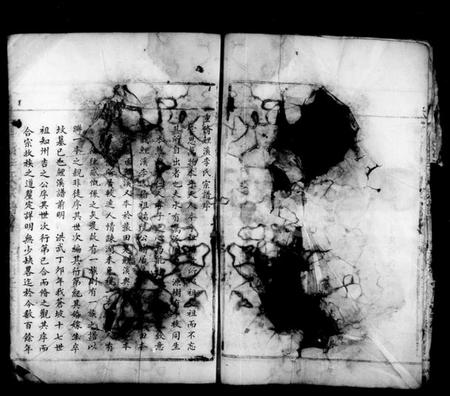 浙江李氏族谱-鲤溪李氏宗谱.pdf电子版插图5 浙江李氏族谱-鲤溪李氏宗谱.pdf电子版插图5