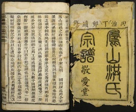 浙江洪氏族谱-凤山洪氏宗谱.pdf电子版插图1