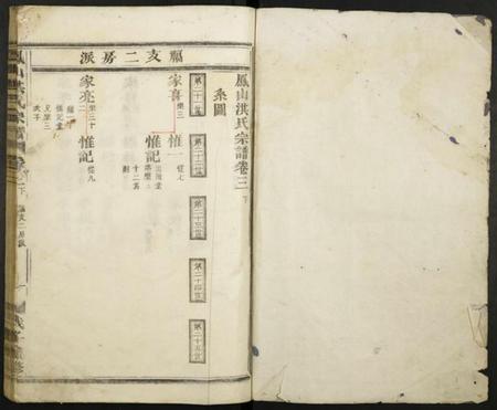 浙江洪氏族谱-凤山洪氏宗谱.pdf电子版插图1