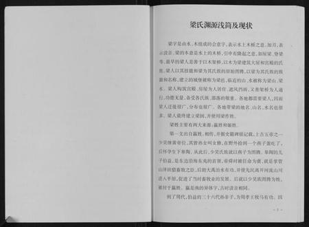 江苏梁氏族谱-梁氏族谱.pdf电子版插图2