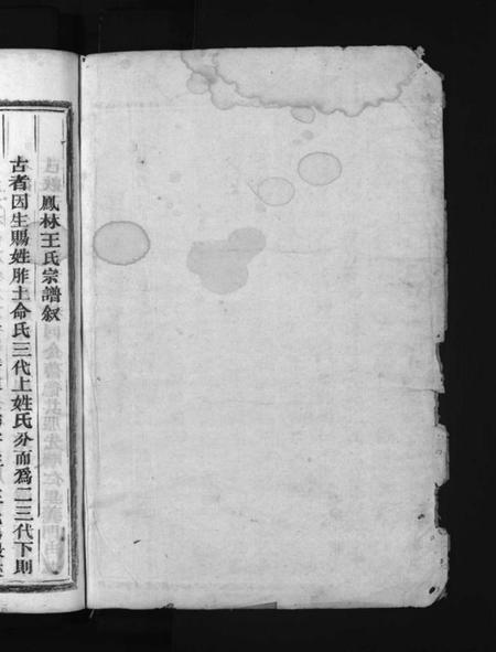 浙江王氏族谱-凤林王氏一原宗谱 [4卷].pdf电子版插图2