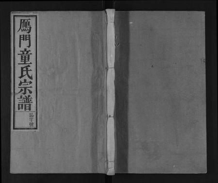 浙江童氏族谱-鴈门童氏宗谱 [10卷,首1卷].pdf电子版