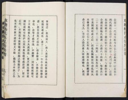 湖南杨氏族谱-草塘杨氏永弘房房谱.pdf电子版插图2