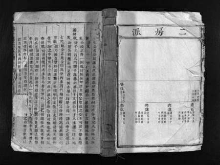 浙江连氏族谱-鹤峯连氏宗谱 [不分卷].pdf电子版插图1